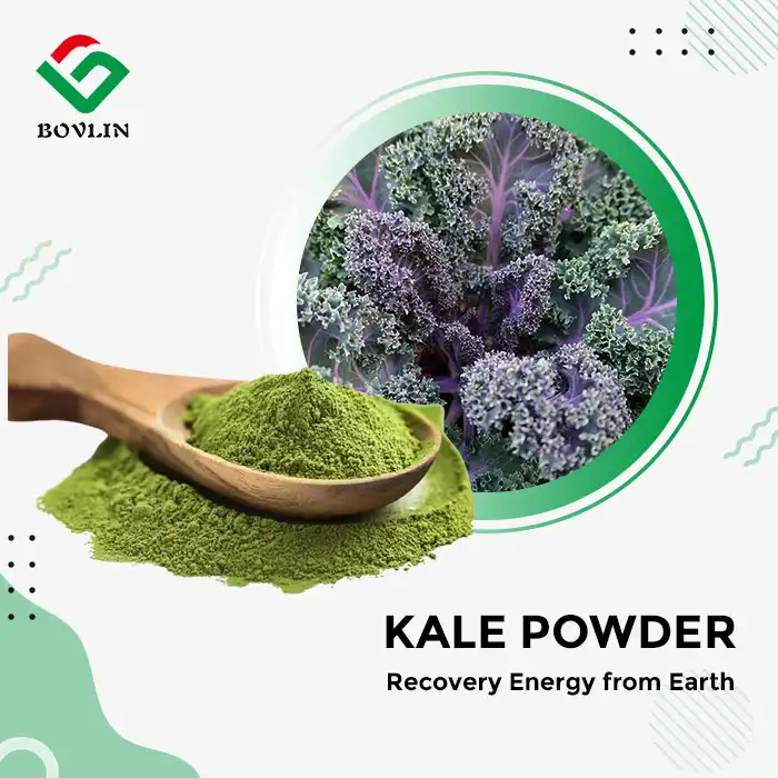 Bulk Kale Powder